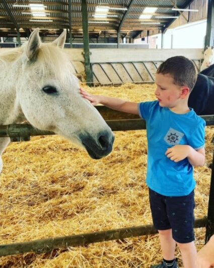 Eli is in a stable, calmly stroking a white horse's nose. The horse is facing him. Eli has short brown hear, wears a short-sleeved blue t-shirt and black shorts.