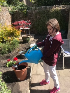 Charlotte is watering the plants in the garden with a watering can.