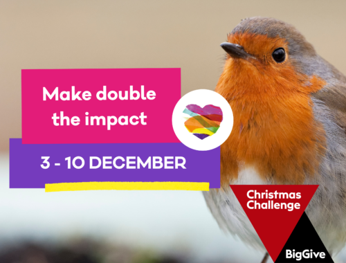 1170_FF_BigGive_NewsItem_800x600