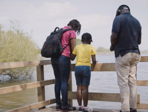 Two parents and a little boy have their back to the camera, and face the water. They look to be looking down at the water, feeding ducks. The parents are interacting with the child.